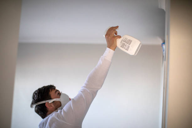 Best Mold Inspection  in Petersburg, IN